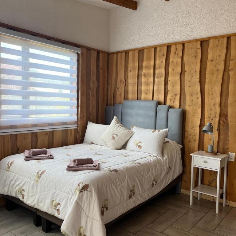 Loica Loft - One-Bedroom Apartment - 11
