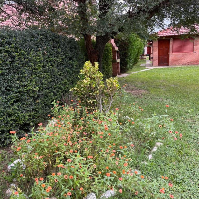 El Rincón de Paquito - Apartamento de 1 dormitorio - 9