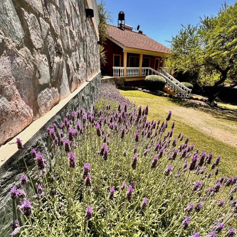 Loma Hermosa Estadias - Two-Bedroom House - 62
