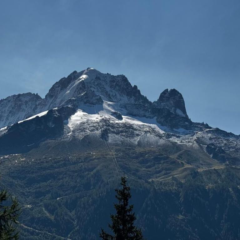 Le 41 du Lyret - Appartement type studio pour deux avec vue sur les Aiguilles dans Chamonix Centre - Estudio con vistas a las montañas - 42