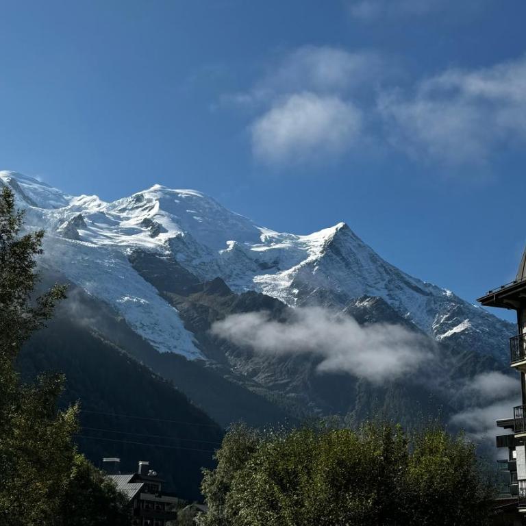 Le 41 du Lyret - Appartement type studio pour deux avec vue sur les Aiguilles dans Chamonix Centre - Estudio con vistas a las montañas - 45