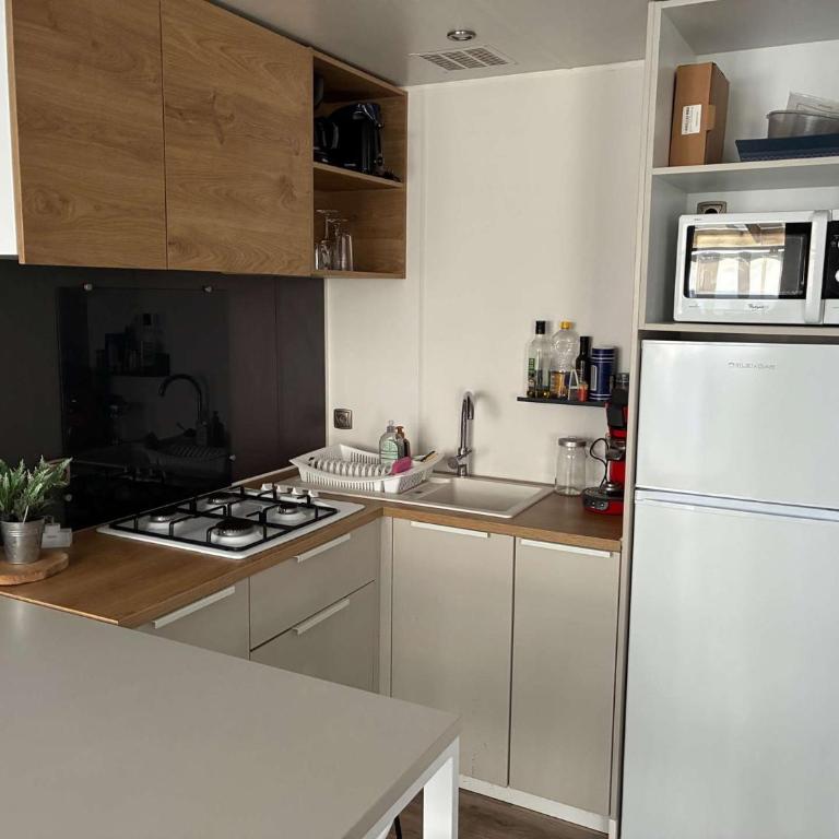 Le parc des roselieres 61 Saint Hilaire de Riez - Maison 2 Chambres - 5