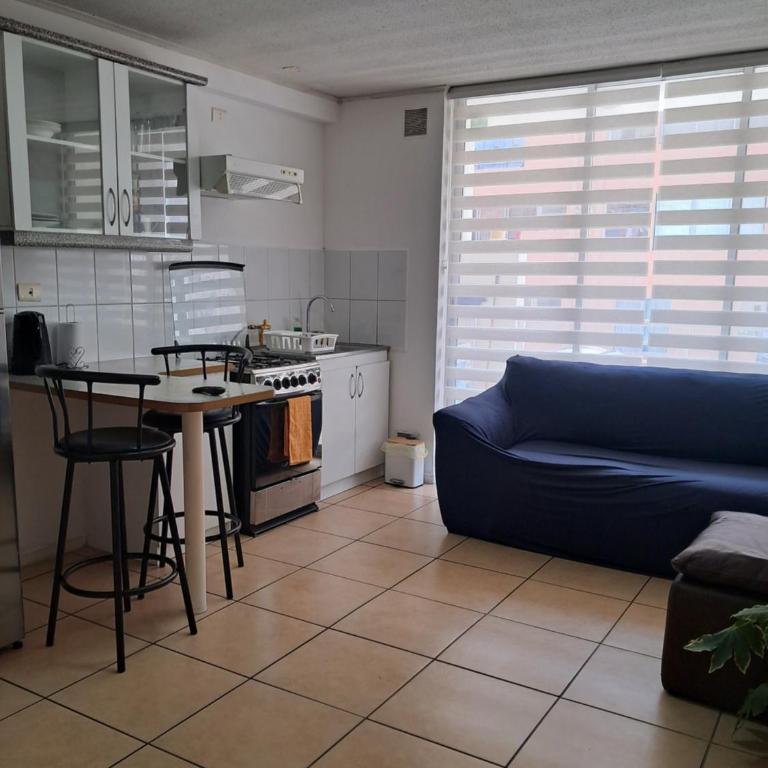 Moderno Depto 1D con Estacionamiento Gratis Ideal Trabajo - One-Bedroom Apartment - 12