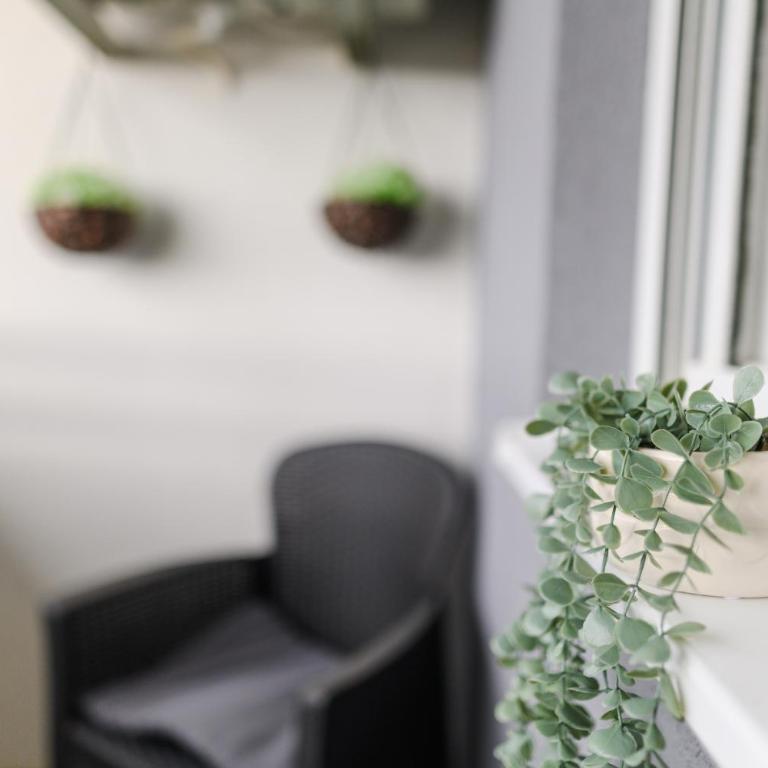 Apartmani LORENA Sokobanja, nedaleko od akvaparka - Apartment with Mountain View - 3