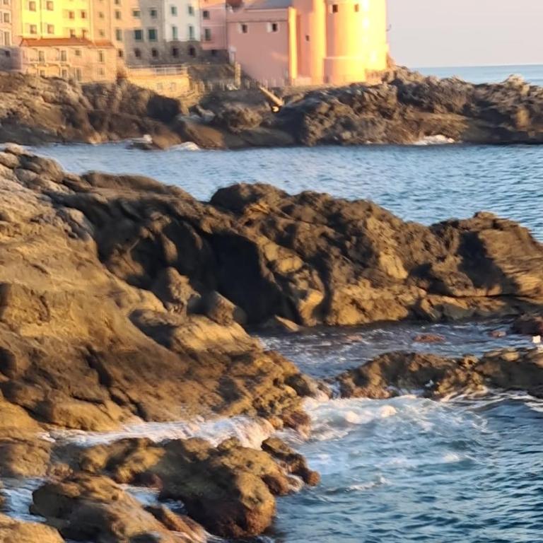 l'Etoile a 500m dalla Stazione - One-Bedroom Apartment - 50