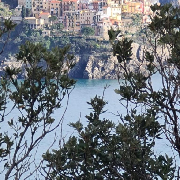 l'Etoile a 500m dalla Stazione - One-Bedroom Apartment - 37