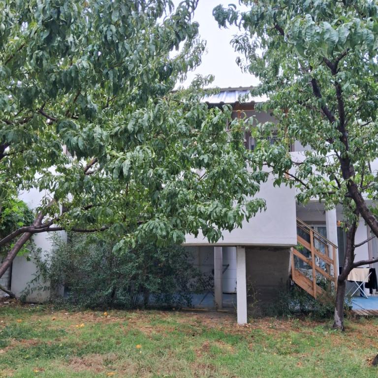 Complejo FE LE SA - Apartamento de 2 dormitorios - 11