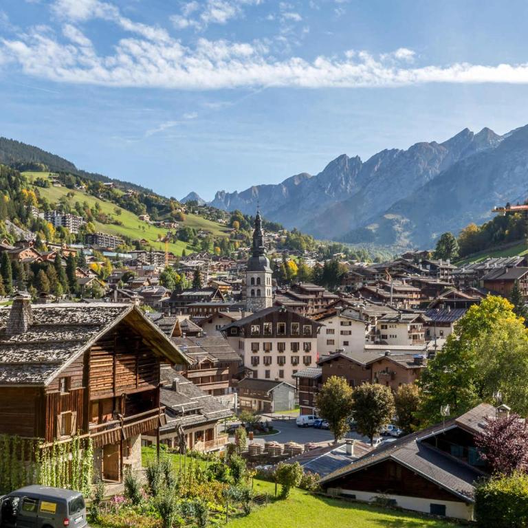 Studio 3*** aux pistes, cheminée, animaux admis, garage - FR-1-304-111 - Appartement (6 Adultes) - 5
