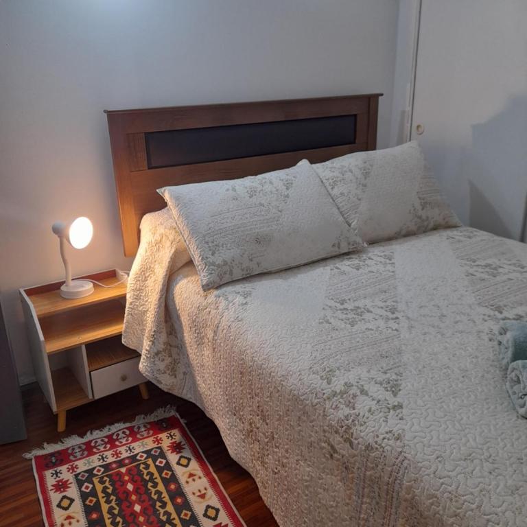 Departamento Santiago Los Heroes Movistar - Three-Bedroom Apartment - 2