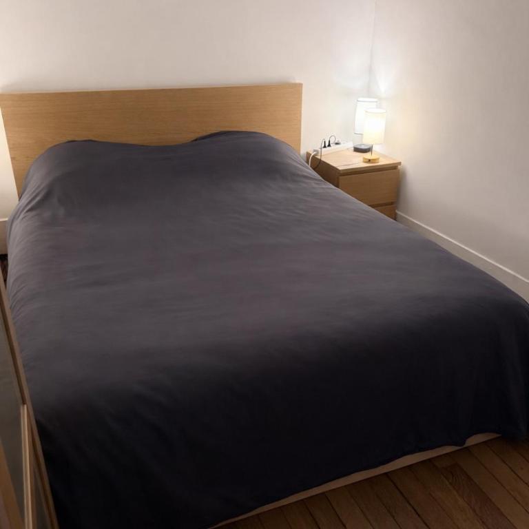 Appartement proche Montparnasse et Port Royal - Appartement 1 Chambre - 42