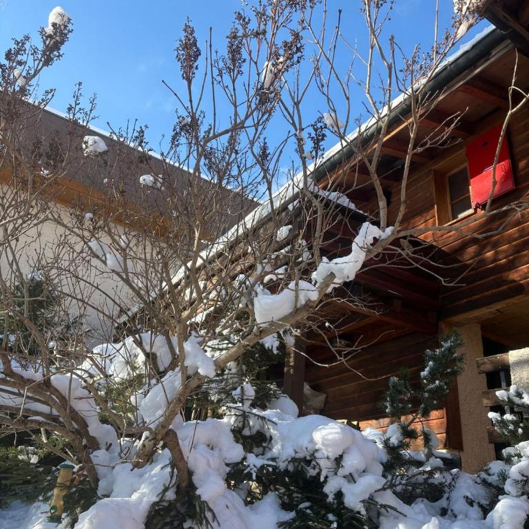 Le Refuge - studio in Leysin - Appartamento con Vista Giardino - 15