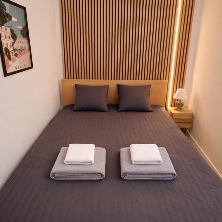 Casa Némausa - One-Bedroom Apartment - 2