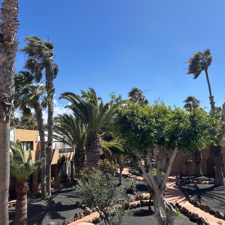 Casa Nalani Corralejo - Apartamento de 1 dormitorio - 2