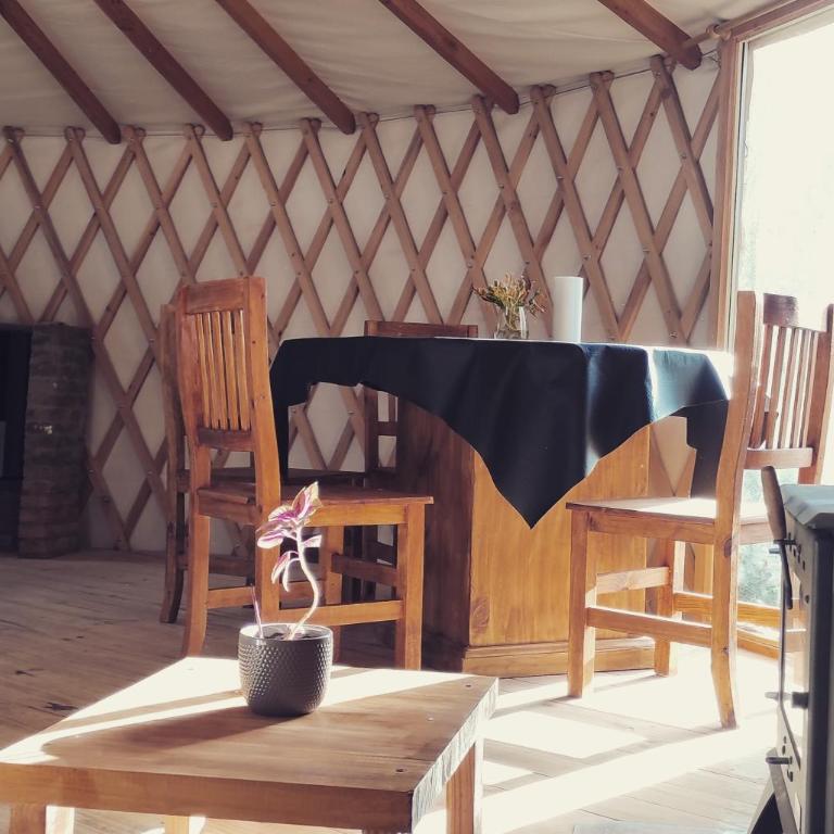 Hermosa y única - Apartamento de 1 dormitorio - 25
