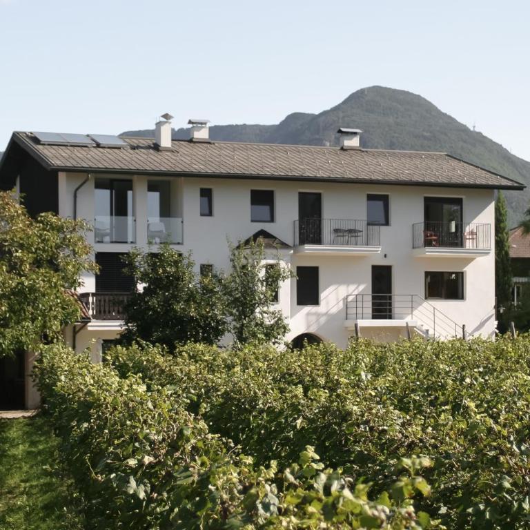 Kaiserau-Höfl 1 - Apartamento de 1 dormitorio con balcón - 5