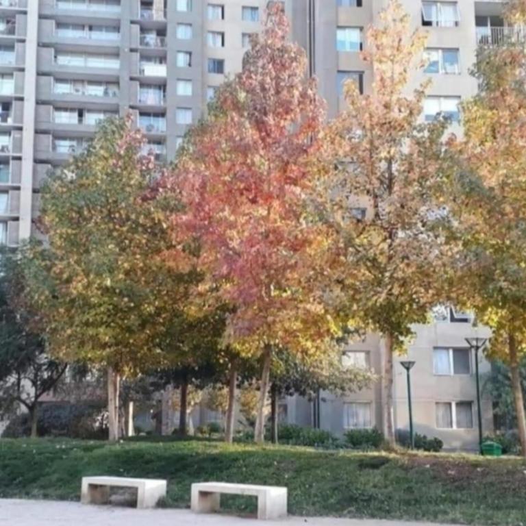 Departamento 2 dormitorios Aeropuerto - Two-Bedroom Apartment - 16