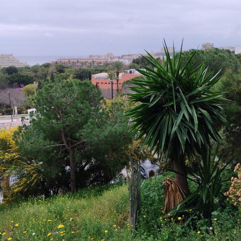Estudio vista al mar,ideal para dos personas,piscinas ,completamente equipado , rodeado de restaurante y comercios ,estación Renfe - Apartamento de 1 dormitorio - 1