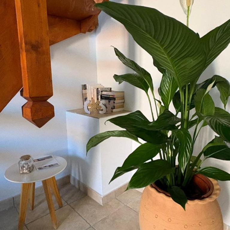 Boho Nest - Charming Boutique Apartment - Appartement 2 Chambres - 18