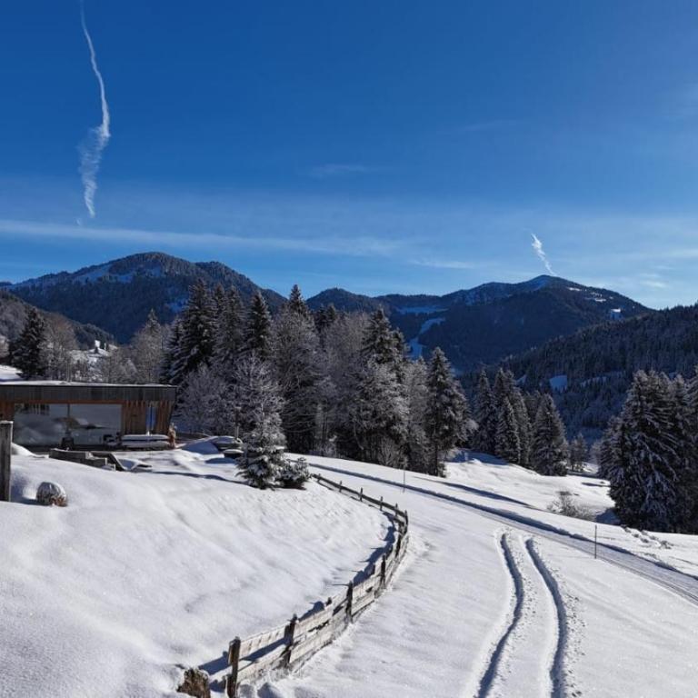 Alpenu Chaletwohnung Hektors - Apartment mit 1 Schlafzimmer - 61