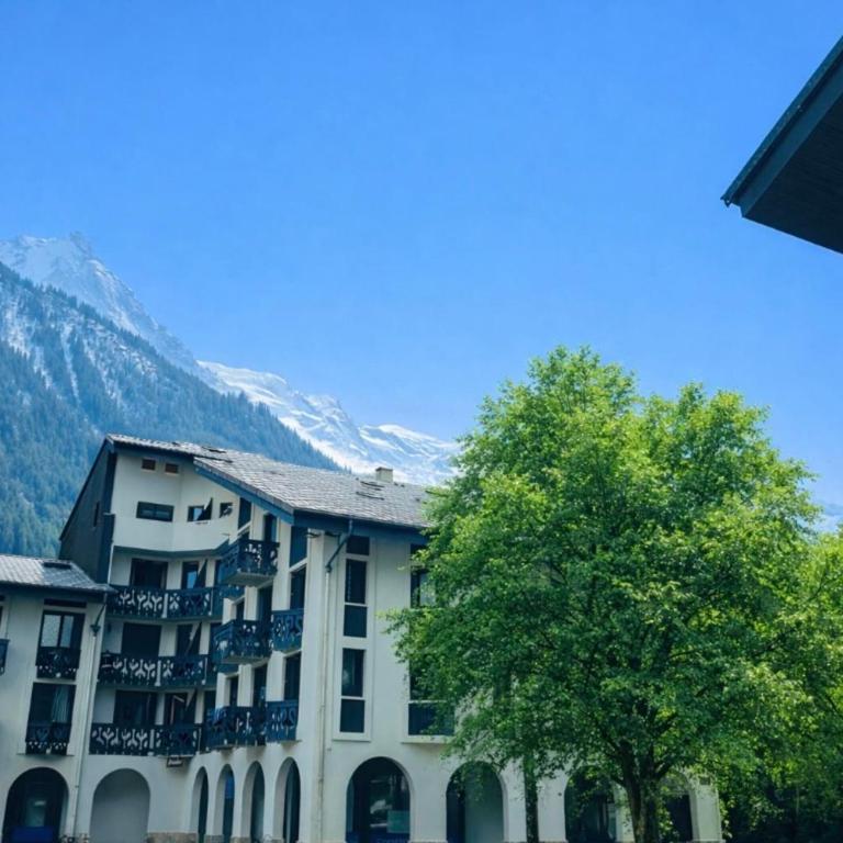 Cosy Nest Near Center Chamonix - Monolocale - 12