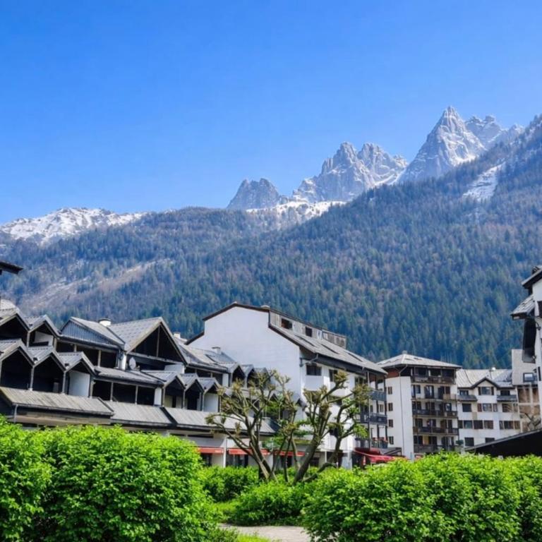Cosy Nest Near Center Chamonix - Monolocale - 13