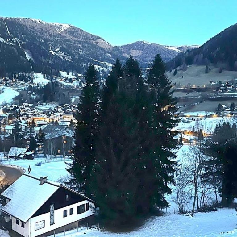 ALPINE VIEW Apartment Bad Kleinkirchheim - Apartment mit 2 Schlafzimmern - 28