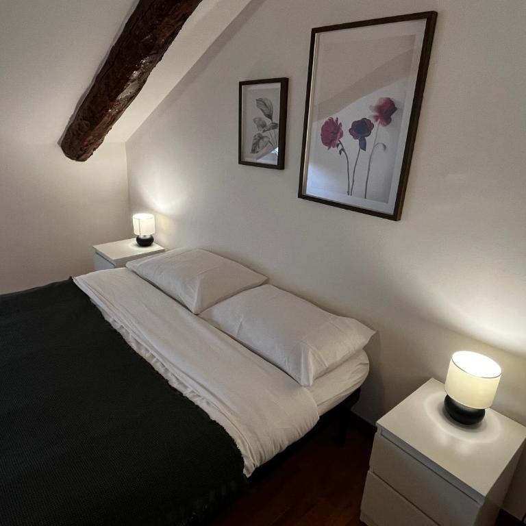 Porta Nuova - Ampio Bilocale in Palazzo Storico - Centro Città - Museo Egizio - Appartamento con 1 Camera da Letto - 3