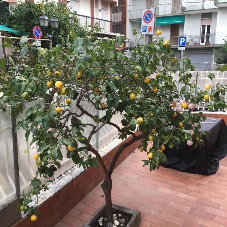Casa nonna Angela - Appartamento con 3 Camere da Letto - 2