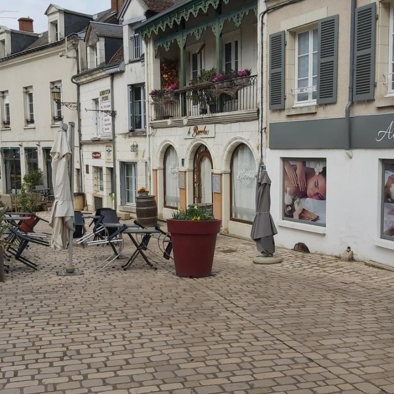 Gîte familial au cœur de Saint-Aignan séjour idéal 3 nuits à 5 min du Zoo de Beauval - Townhouse mit 3 Schlafzimmern - 56