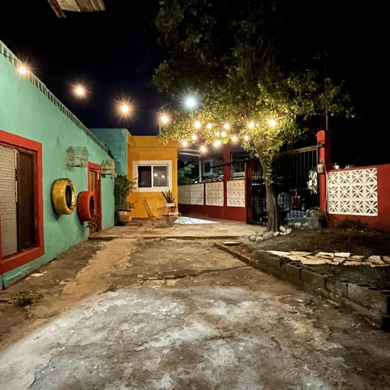 Finca El Fraile - One-Bedroom House - 9