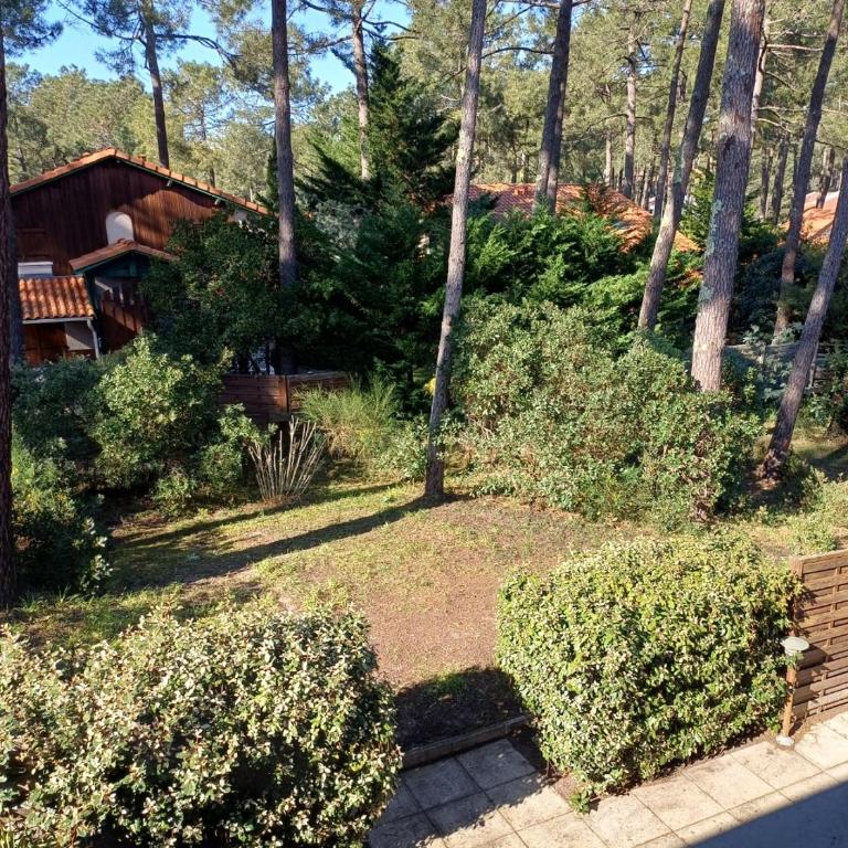 18 Résidence Parc de la Dune - Three-Bedroom House - 8