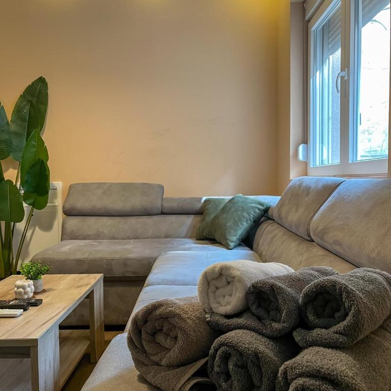King Milans Apartment - Apartman sa 1 Spavaćom Sobom - 5