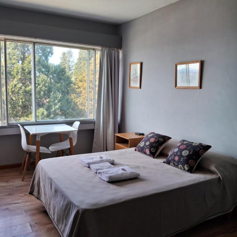 Center Vistas - Apartamento con vistas al lago - 5
