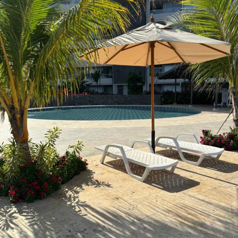 Loft frente al Mar piso 11 Santa Marta - Apartamento de 1 dormitorio - 8