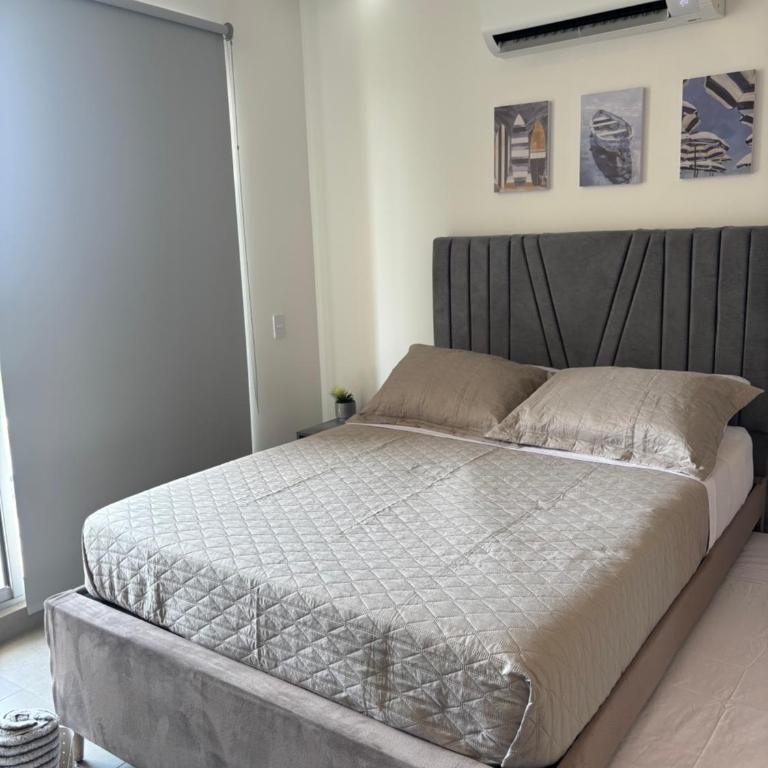 Loft frente al Mar piso 11 Santa Marta - Apartamento de 1 dormitorio - 9
