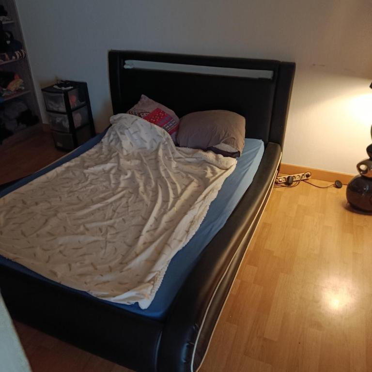 Duplex t4 Annecy - Appartement 2 Chambres - 1