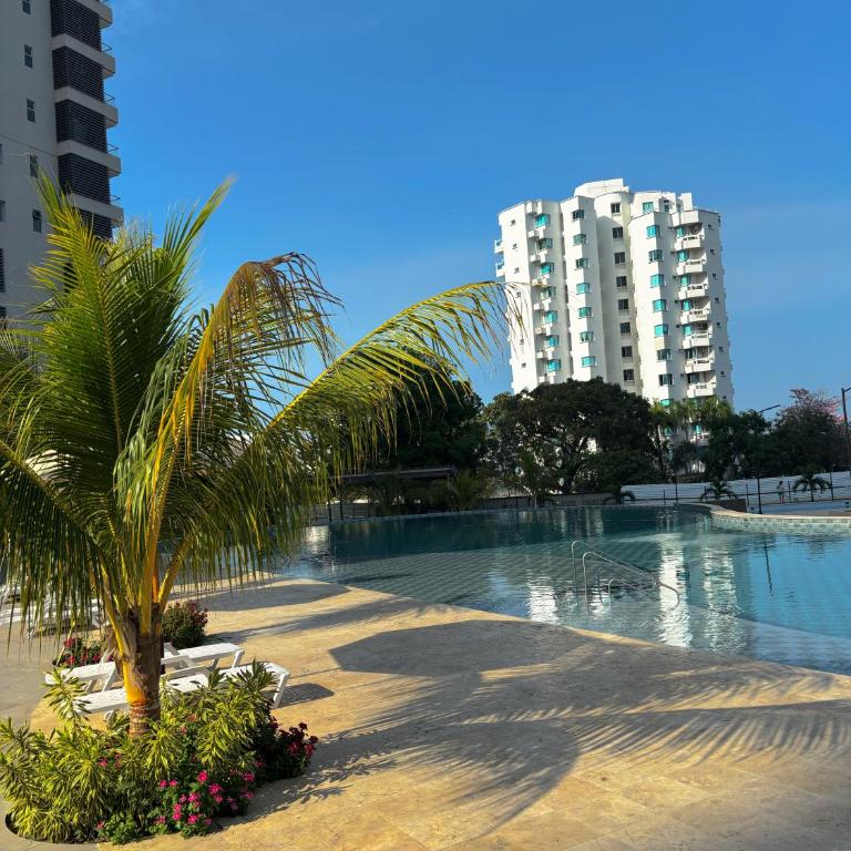 Loft Tropical Frente al mar piso 11 - Apartamento de 1 dormitorio - 7