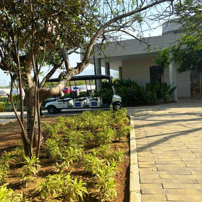 Loft Tropical Frente al mar piso 11 - Apartamento de 1 dormitorio - 18