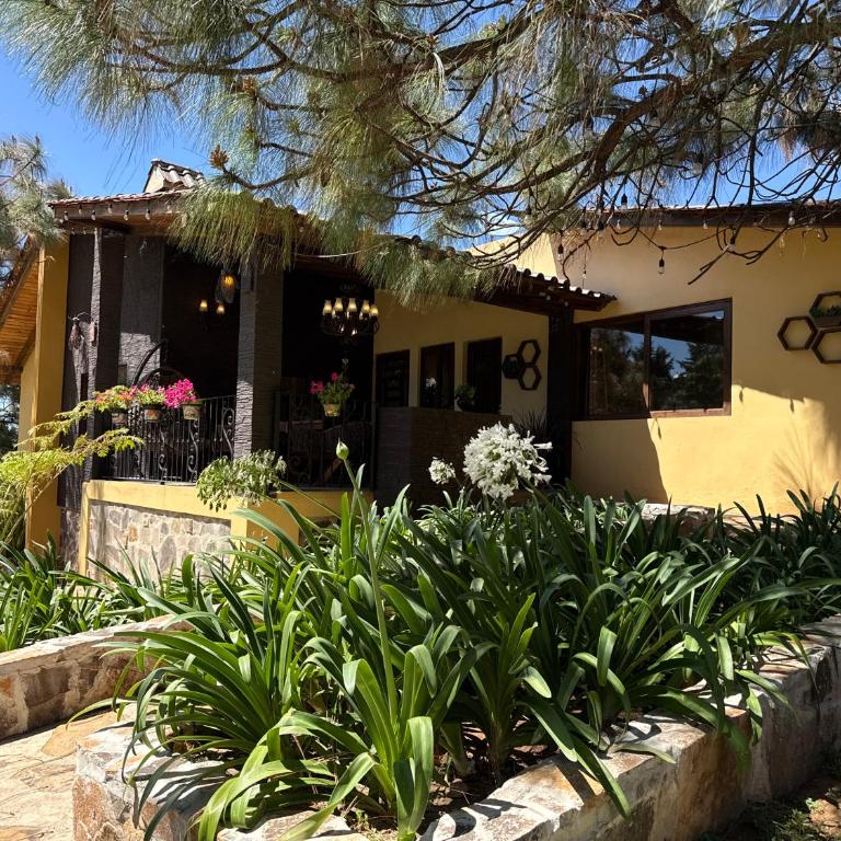 Cabañas Puerta del Bosque No 3 - Chalet de 3 dormitorios - 1