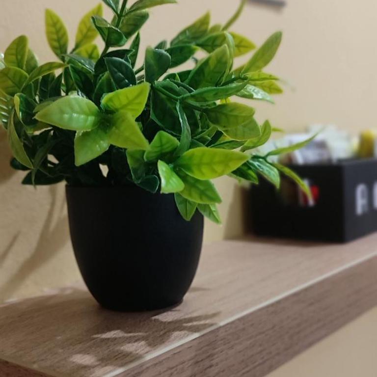 Apartman JELAČIK 2 - One-Bedroom Apartment - 10