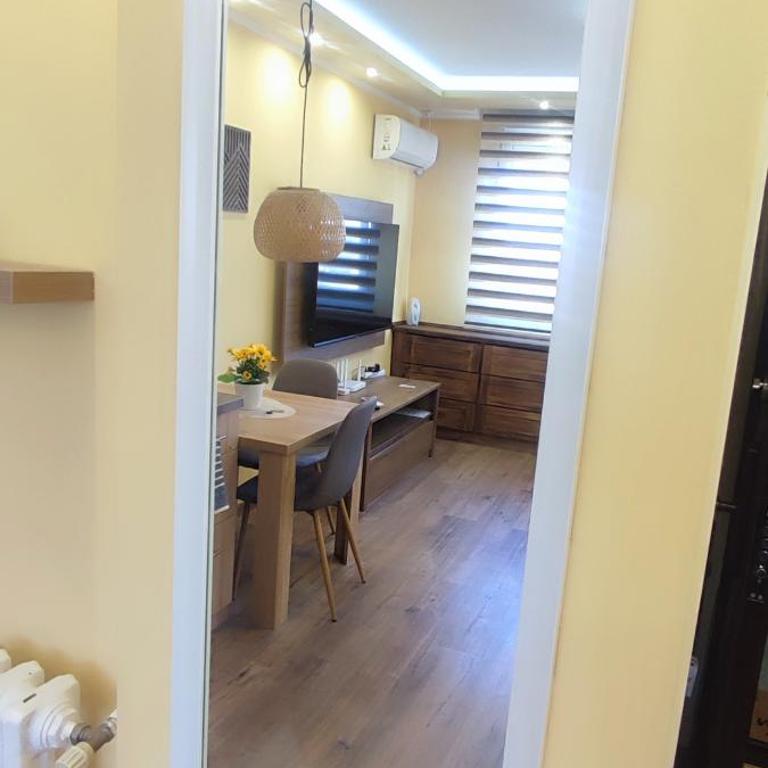 Apartman JELAČIK 2 - One-Bedroom Apartment - 30