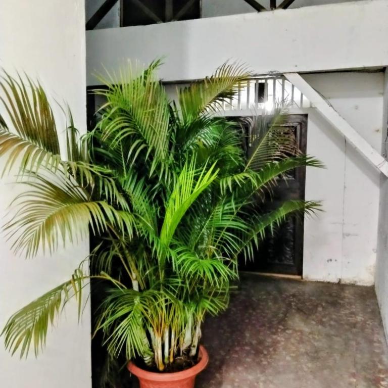 Casona San Martín -Iquitos - Apartamento de 1 dormitorio con vistas a la ciudad - 19