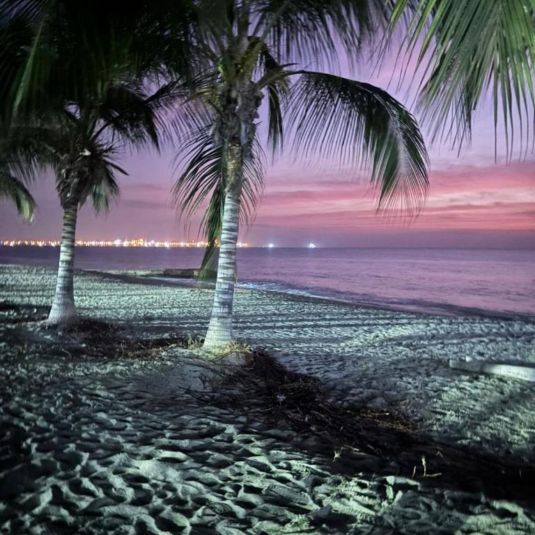 Loft Tropical Frente al mar piso 11 - Apartamento de 1 dormitorio - 37