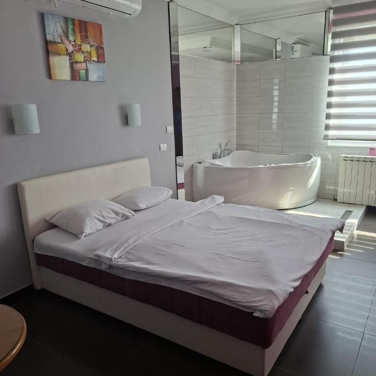 Bela Ruza Rooms For Rent Near Airport - Deluks Dvokrevetna Soba sa Bračnim Krevetom i Kadom - 4