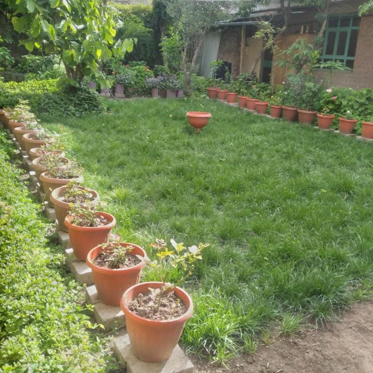 Casa Hospedaje Qinti - Apartamento de 2 dormitorios - 5