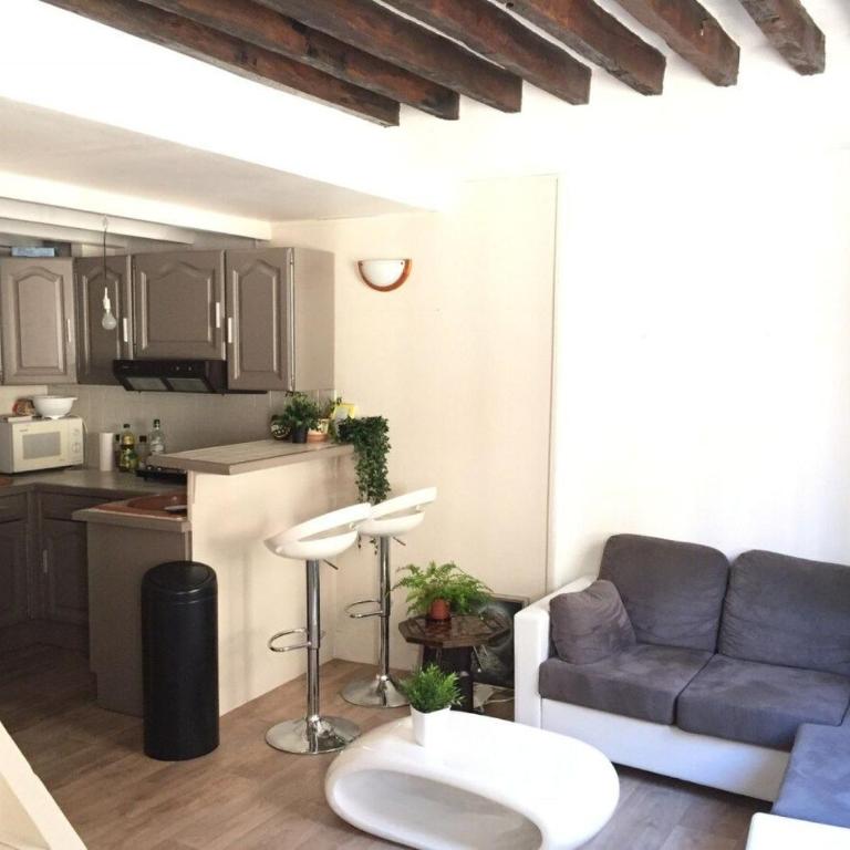 Charmant 2 pièces République, Marais & Canal Paris X - Appartement Loft 1 Chambre - 1