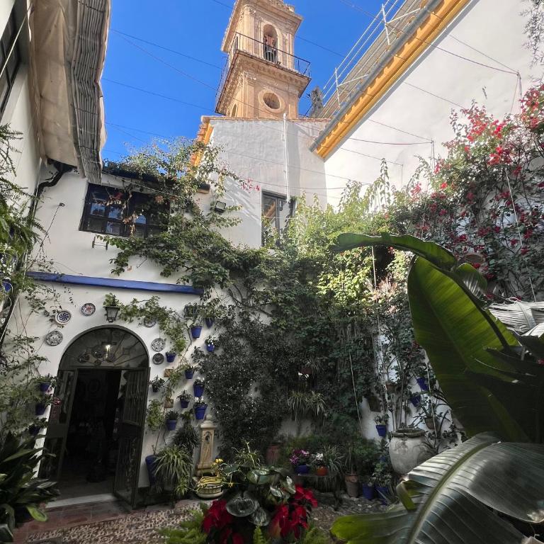 Apartamento con vistas a iglesia historica Centro Cordoba 6 huespedes - Apartamento Premium de 3 dormitorios con balcón - 44