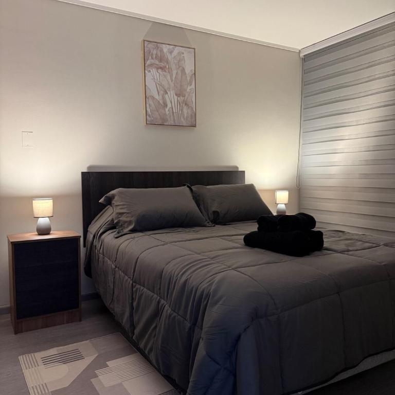 A pasos de Movistar Arena con Estacionamiento incluido - One-Bedroom Apartment - 5