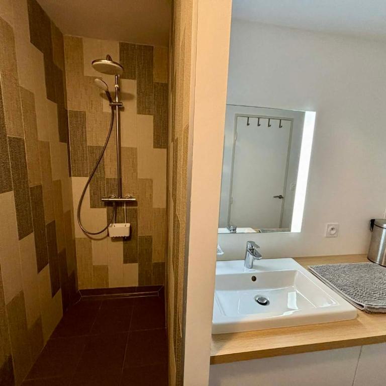 Appartement luxe 2 chambres, balcon, accès plage, piscine, animaux admis, parking - FR-1-194-236 - Appartement - 6
