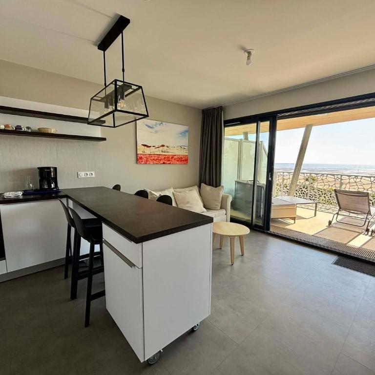 Appartement luxe 2 chambres, balcon, accès plage, piscine, animaux admis, parking - FR-1-194-236 - Appartement - 17